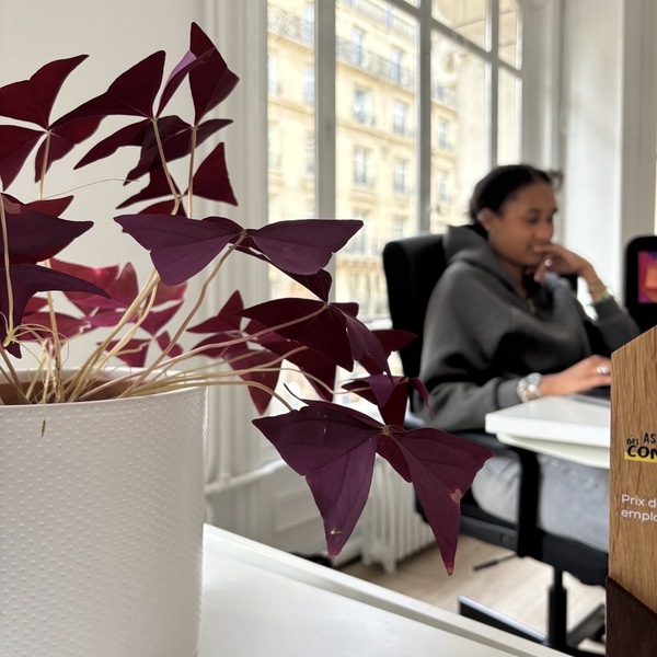 Attention, cogitations en cours !